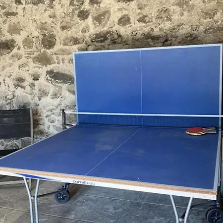Hébergement de vacances Charmante Maison De Caractere, Renovee, Pres De Salers, Ideale Pour Nature Et Decouvertes Culturelles - Fr-1-742-527 *