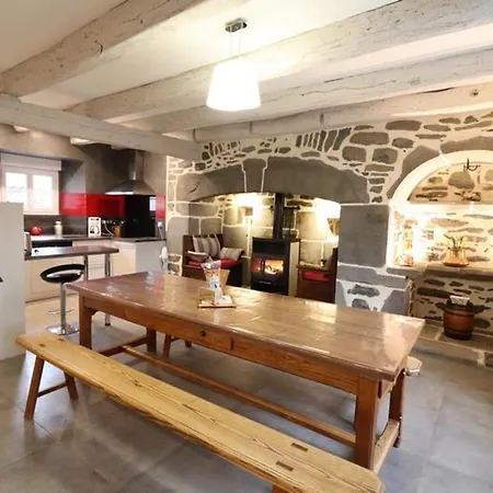 Charmante Maison De Caractere, Renovee, Pres De Salers, Ideale Pour Nature Et Decouvertes Culturelles - Fr-1-742-527 Hébergement de vacances *