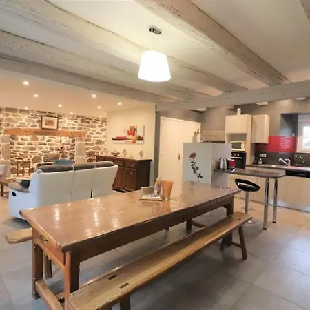 Charmante Maison De Caractere, Renovee, Pres De Salers, Ideale Pour Nature Et Decouvertes Culturelles - Fr-1-742-527